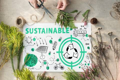 Environmental Sustainability